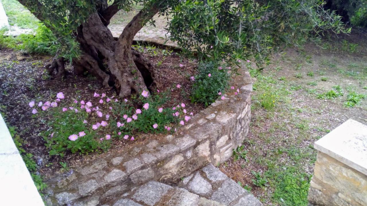 Tzitzifes Stone Mansion 빌라 외부 사진